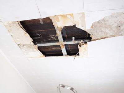 About Black Mold Removal Idylwood - black mold removal experts in Idylwood